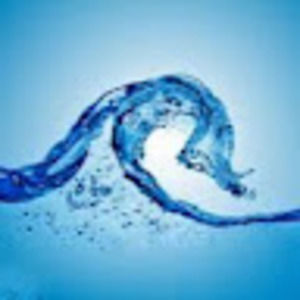 Meet your Posher, Noah